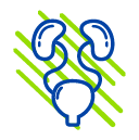 Urologia